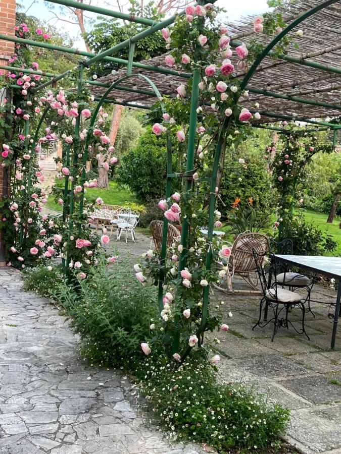 Dimora Rosa Bianca Hotell Macerata Exteriör bild