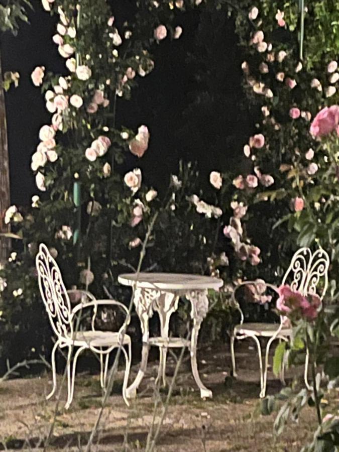Dimora Rosa Bianca Hotell Macerata Exteriör bild